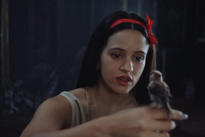 Probé la teoría del pájaro con mi pareja