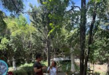 Reforzando la Promoción: Dos Reconocidas Producciones Recorren Merlo