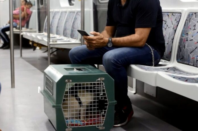 Subte pet friendly: cómo viajar con tu perro o gato por Buenos Aires