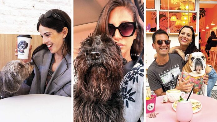 Buenos Aires pet friendly: qué hacer con tu perro o gato