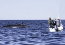 Comodoro Rivadavia, inmensidad natural