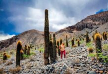 Los pueblos originarios de Salta: un viaje a las raíces que todavía respiran en el norte argentino