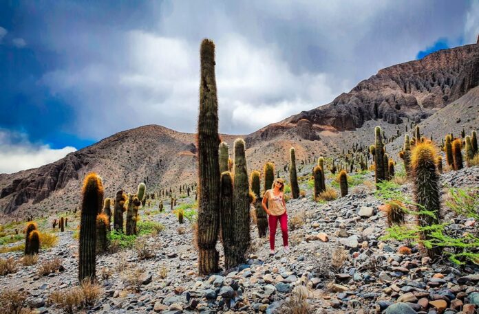 Los pueblos originarios de Salta: un viaje a las raíces que todavía respiran en el norte argentino