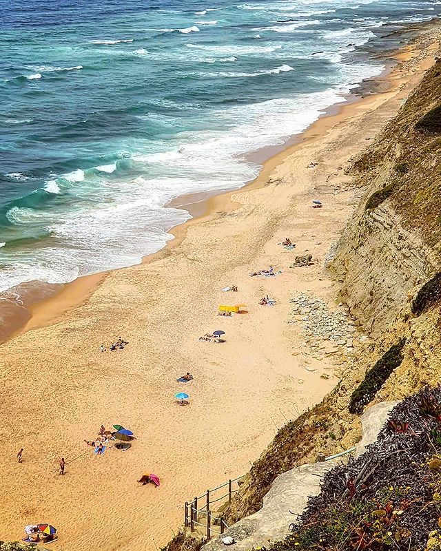 Portugal con tu perro: las playas donde los peludos son bienvenidos