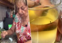El truco de las abuelas del pueblo para atrapar las moscas que se cuelan en casa en verano: sin químicos ni esfuerzo
