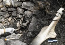 Una tumba de hace 600 años, cinco cuerpos y un misterio sin resolver: las incógnitas del llamado Machu Picchu de la selva peruana