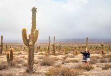 Viajar por la ruta 33, acariciando las nubes