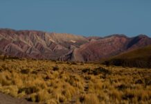 Cabalgatas en los Valles Calchaquíes: la aventura a caballo que te va a cambiar la forma de viajar