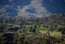 Camping pet friendly en las Sierras de Córdoba: la escapada perfecta con tu perro sin culpa
