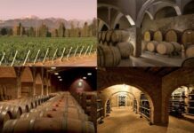 Por qué la ruta del vino en Mendoza es el viaje que tenés que hacer en 2026