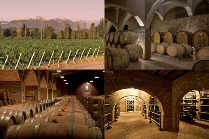 Por qué la ruta del vino en Mendoza es el viaje que tenés que hacer en 2026