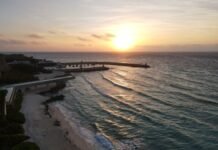 Cancún con tu perro: los hoteles donde tu compañero peludo es bienvenido como nunca