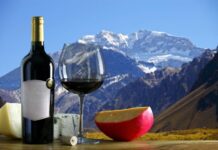 Mendoza en copa: la ruta del vino que te va a convertir en sommelier sin que te des cuenta