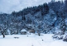 Niseko es el lugar donde el snowboard se convierte en una obsesión: la guía completa para tu viaje