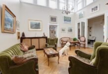 Nueva York con tu perro: los hoteles donde tu amigo de 4 patas será como un huésped VIP