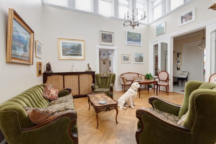 Nueva York con tu perro: los hoteles donde tu amigo de 4 patas será como un huésped VIP