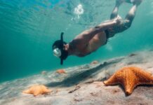 Panamá combina playas, naturaleza y compras