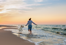 Pinamar con tu perro: la playa donde tu compañero peludo es el verdadero protagonista