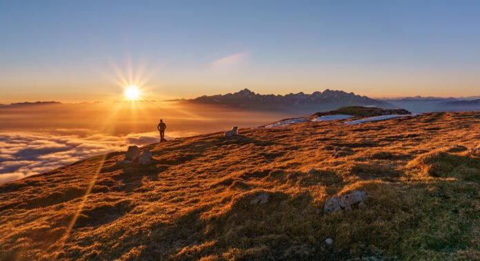 Viena con tu perro: la ciudad europea donde viajar con tu amigo de 4 patas es realmente fácil