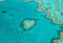 Bucear en la Gran Barrera de Coral: la experiencia que te va a cambiar la forma de ver el océano