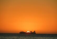 Centolla recién sacada del Atlántico: por qué Puerto Madryn es el secreto mejor guardado de los amantes del marisco