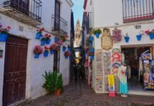 Córdoba tiene un circuito cultural imprescindible y vos todavía no lo conocés